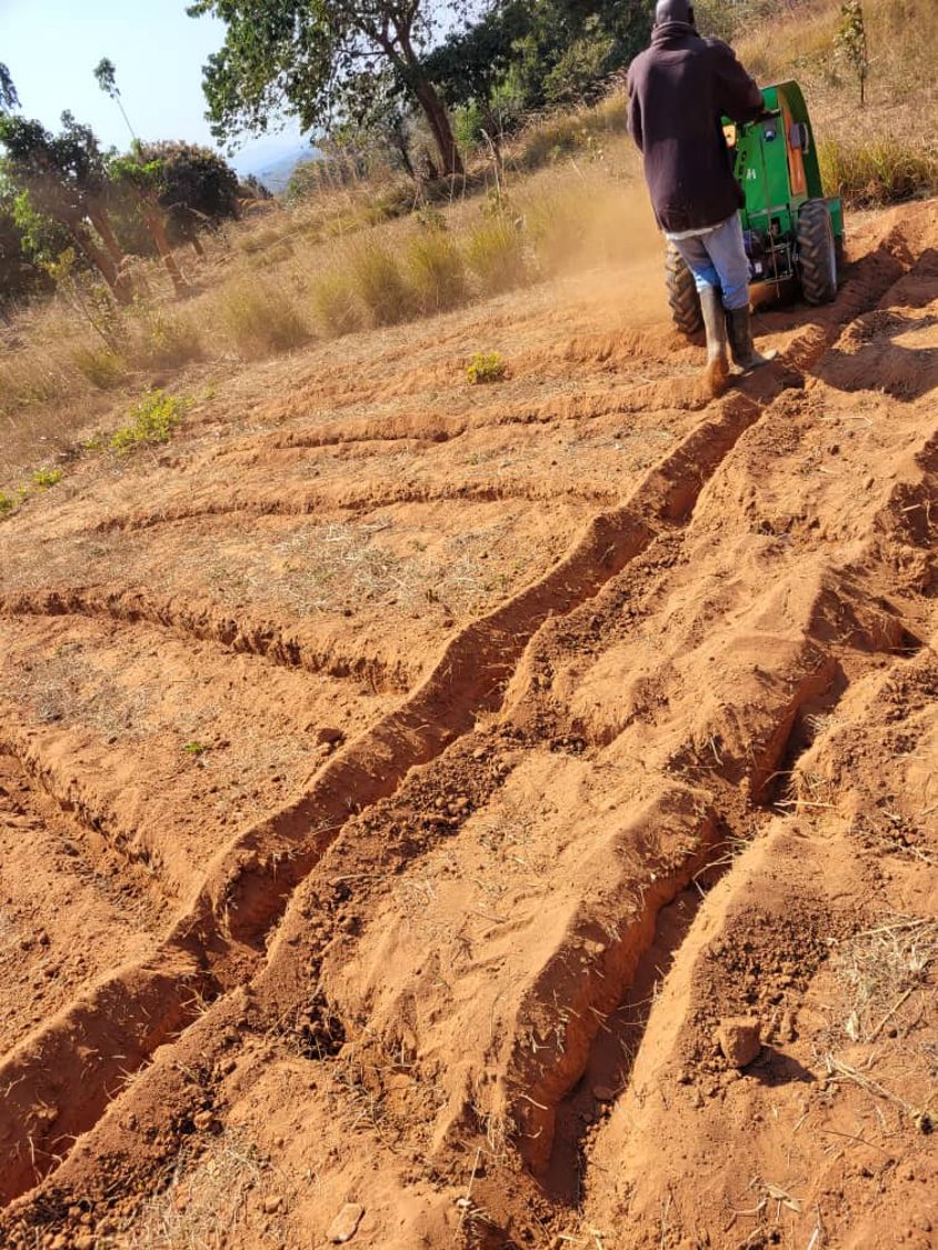 Ridging on the slope at Emisizini